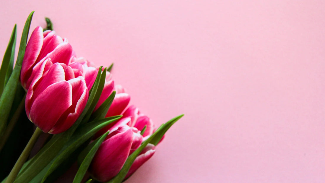 How to transition your skincare to spring