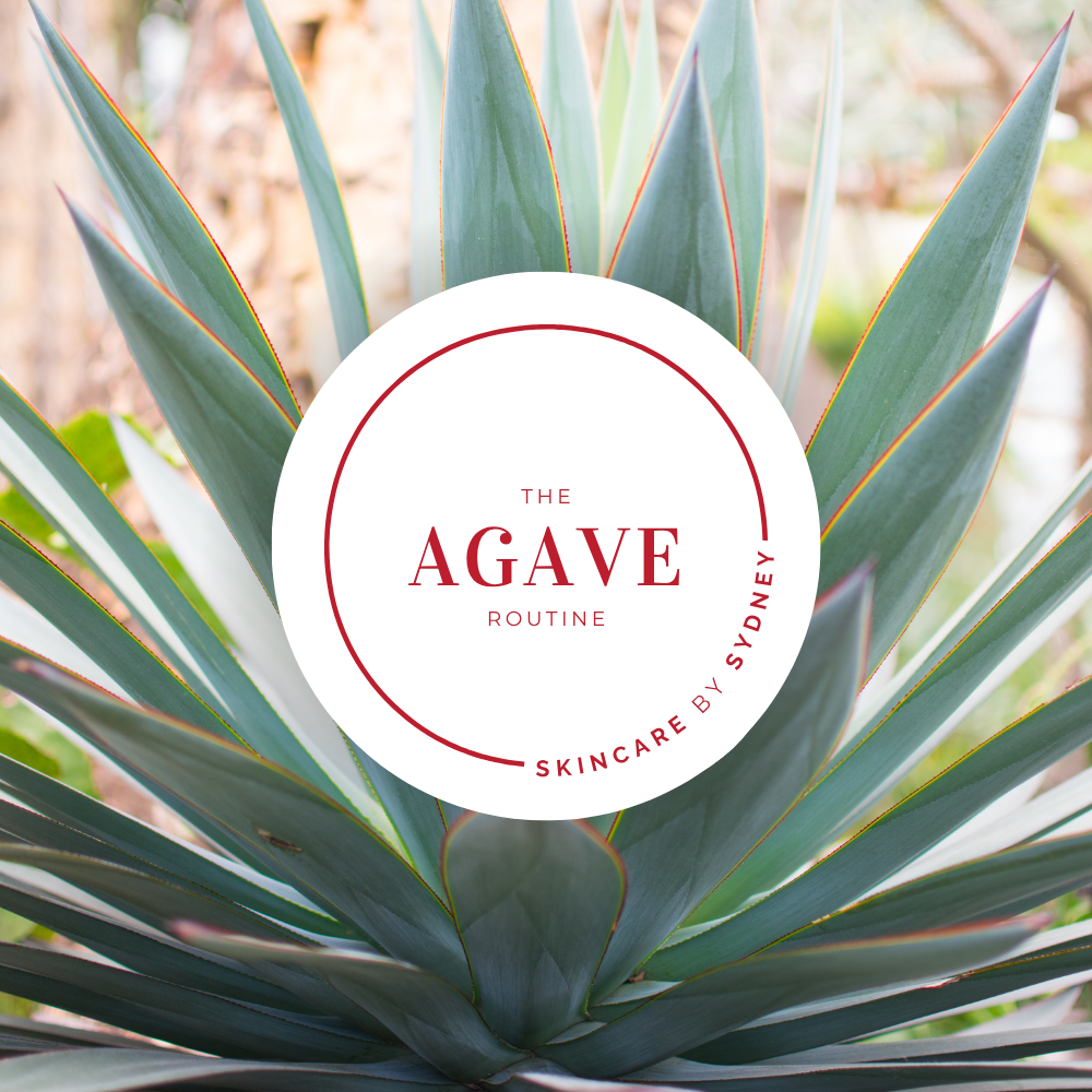 Agave Skin Routine