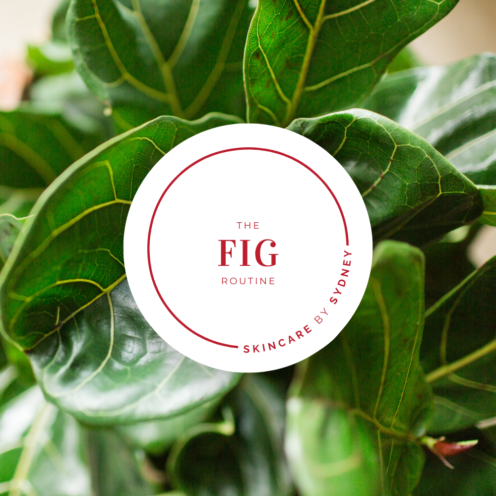 Fig Skin Routine