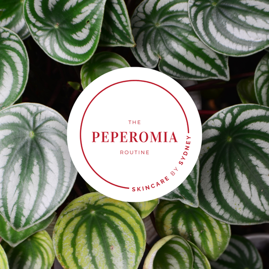 Peperomia Skin Routine