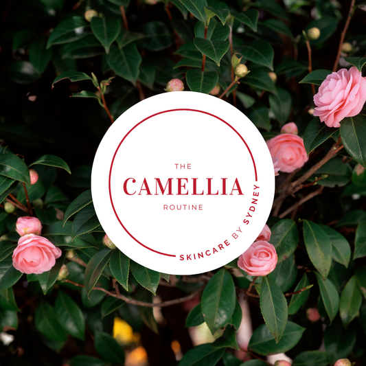 Camellia Skin Routine