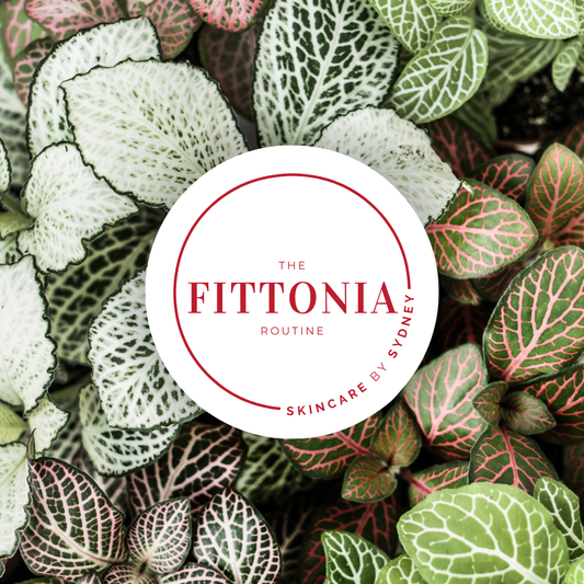 Fittonia Skin Routine